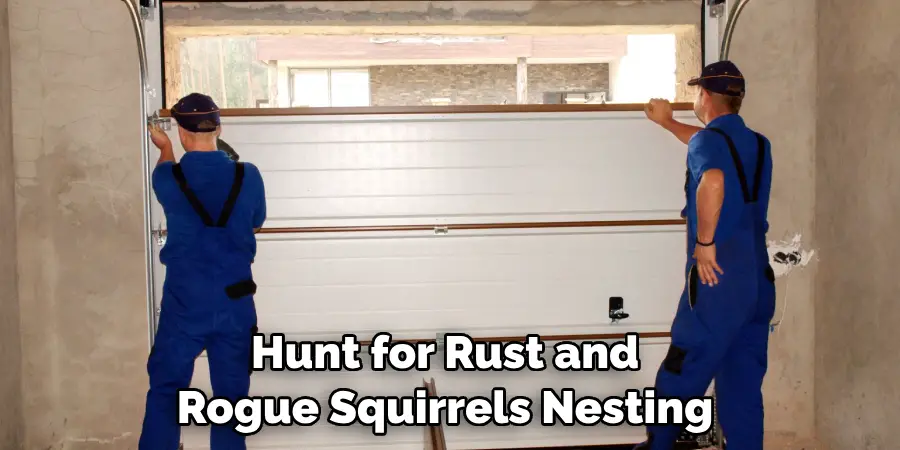 Hunt for Rust and Rogue Squirrels Nesting