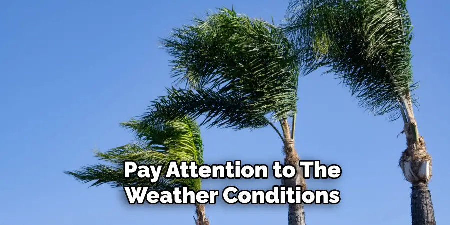 Pay Attention to the Weather Conditions 