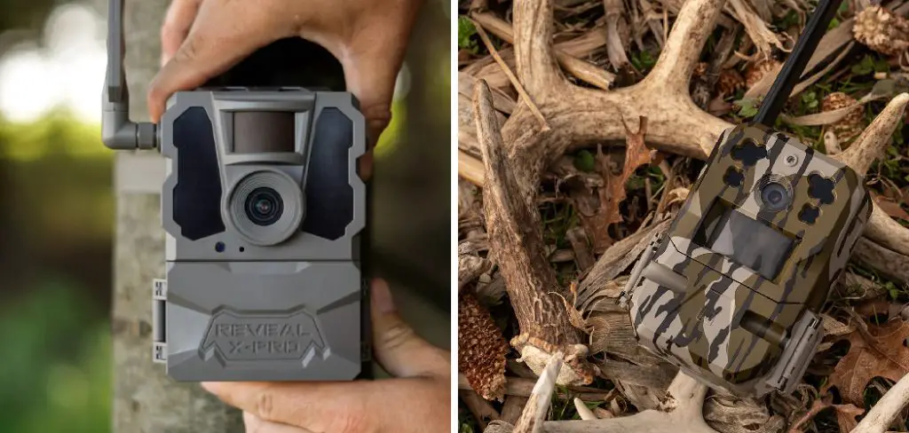 How to Set Up Cellular Trail Camera