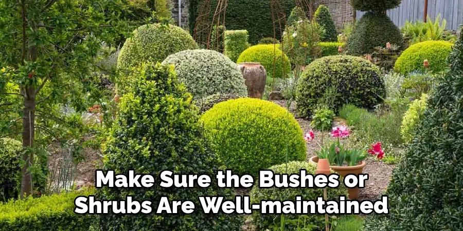 Make Sure the Bushes or Shrubs Are Well-maintained