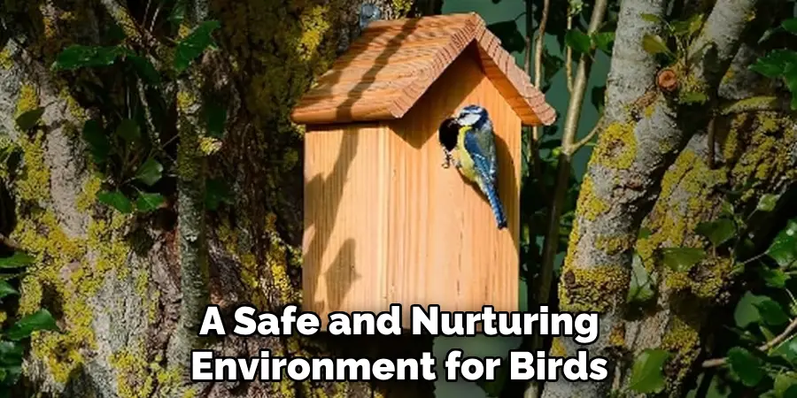 A Safe and Nurturing Environment for Birds