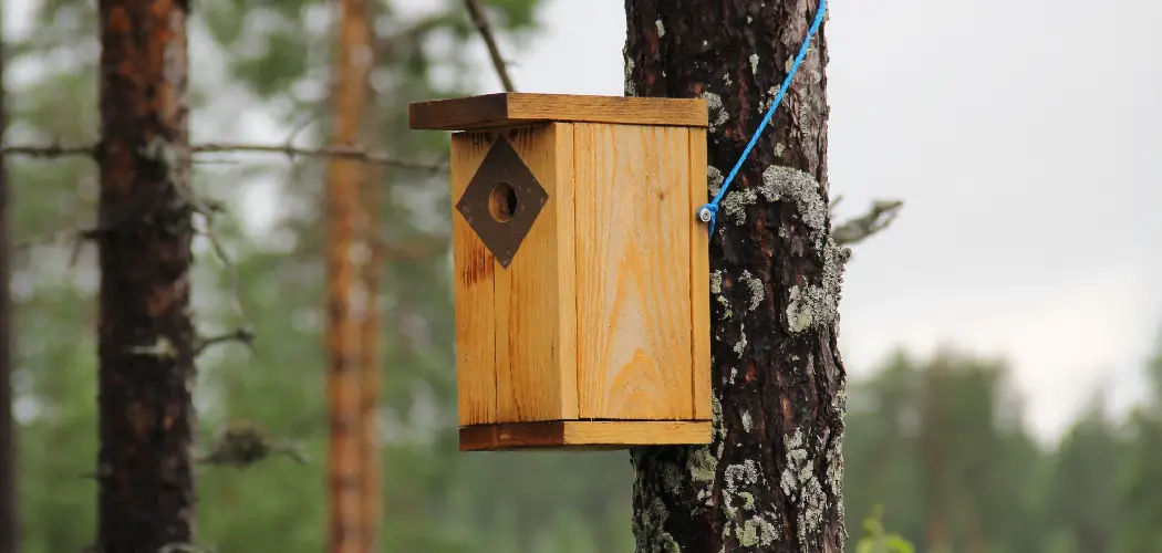 How to Set up A Nest Box Camera