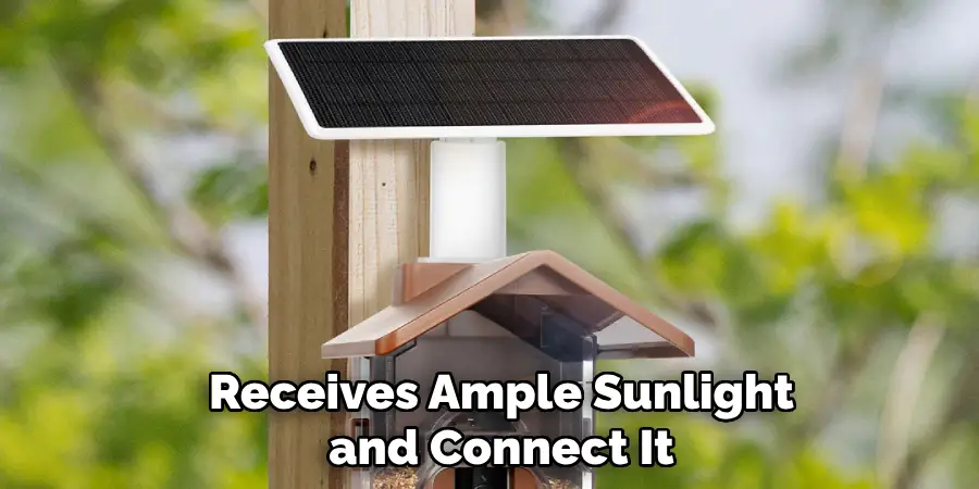 Receives Ample Sunlight and Connect It