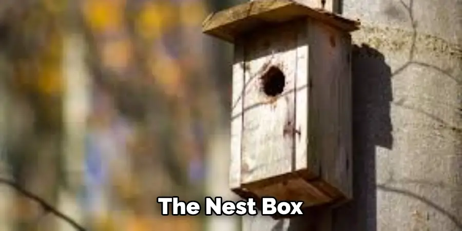 The Nest Box