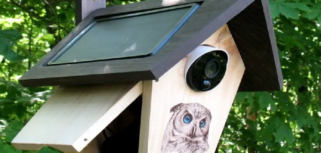 How to Keep Birds Away From Security Cameras