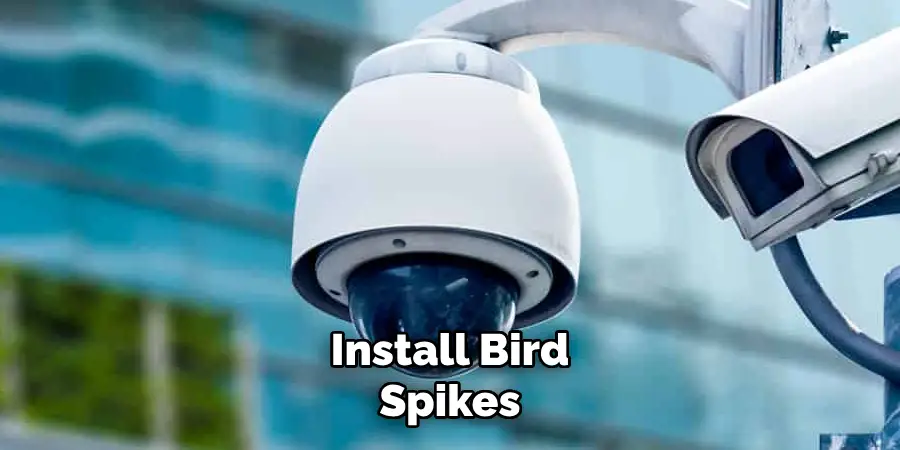 Install Bird Spikes