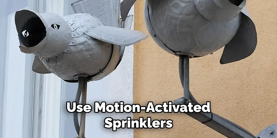 Use Motion-Activated Sprinklers