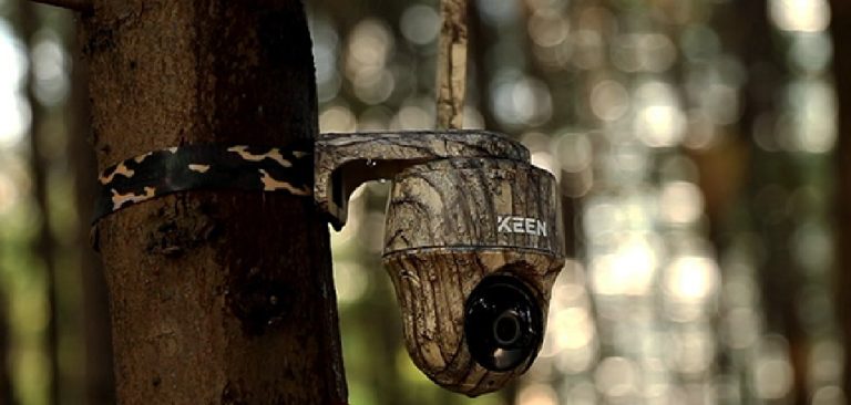 How to Use a Trail Camera for Security