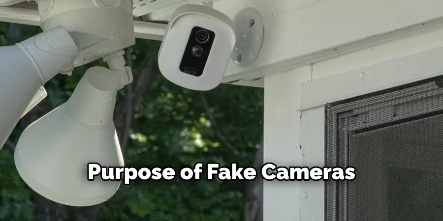 Purpose of Fake Cameras