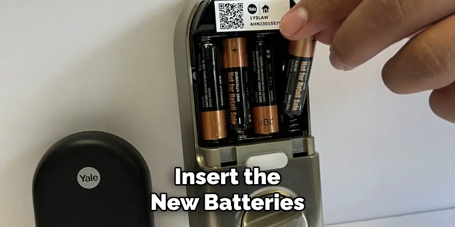 Insert the New Batteries